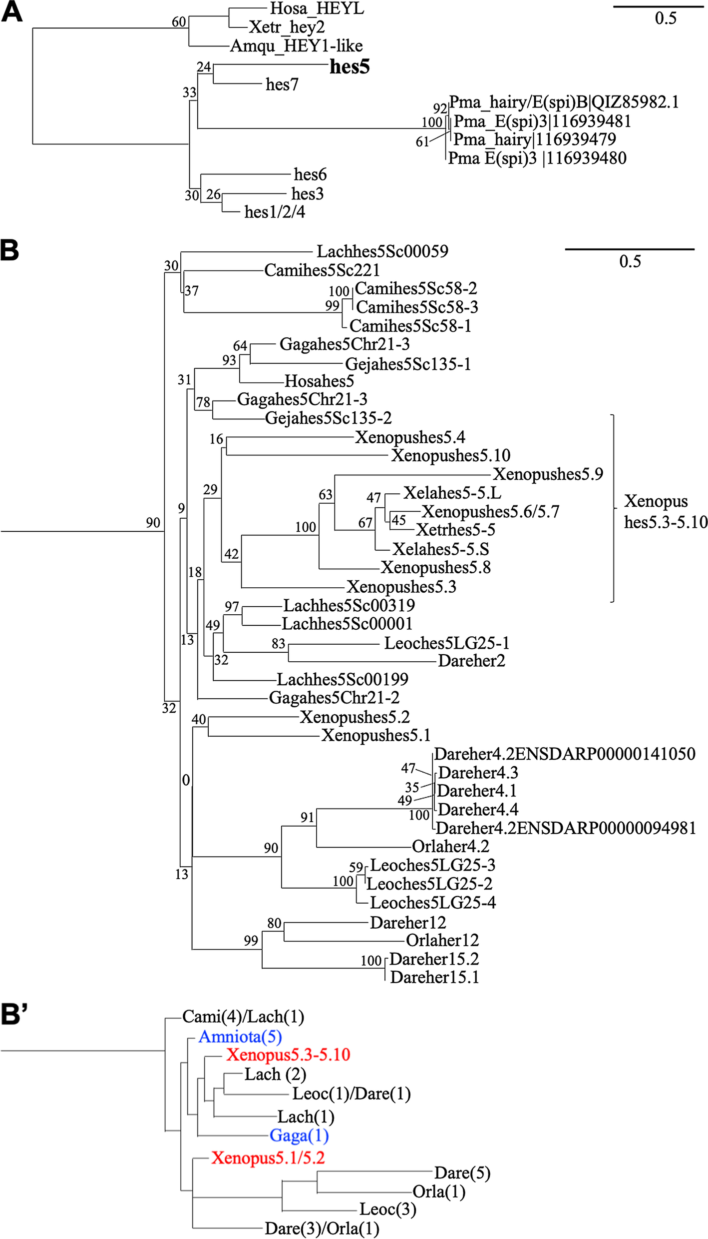 Fig. 7