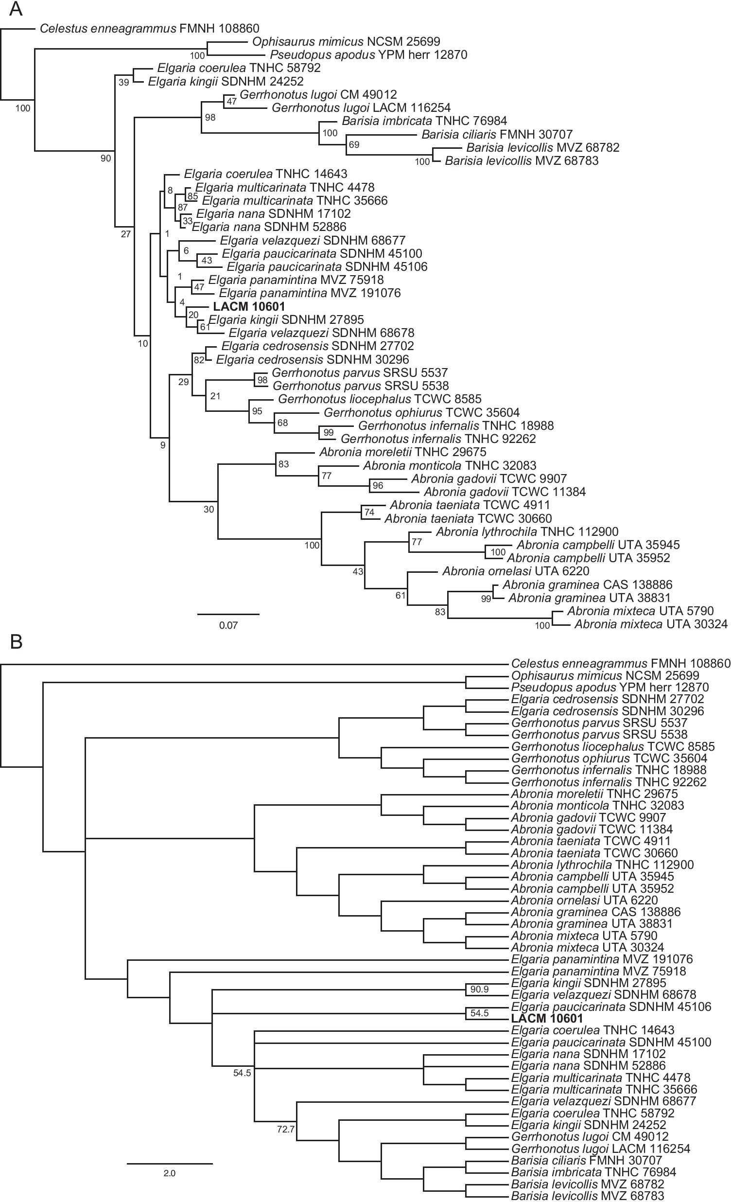 Fig. 12