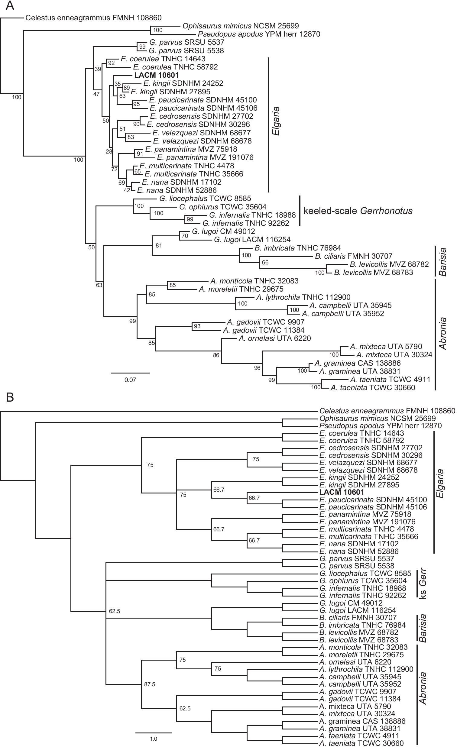 Fig. 13