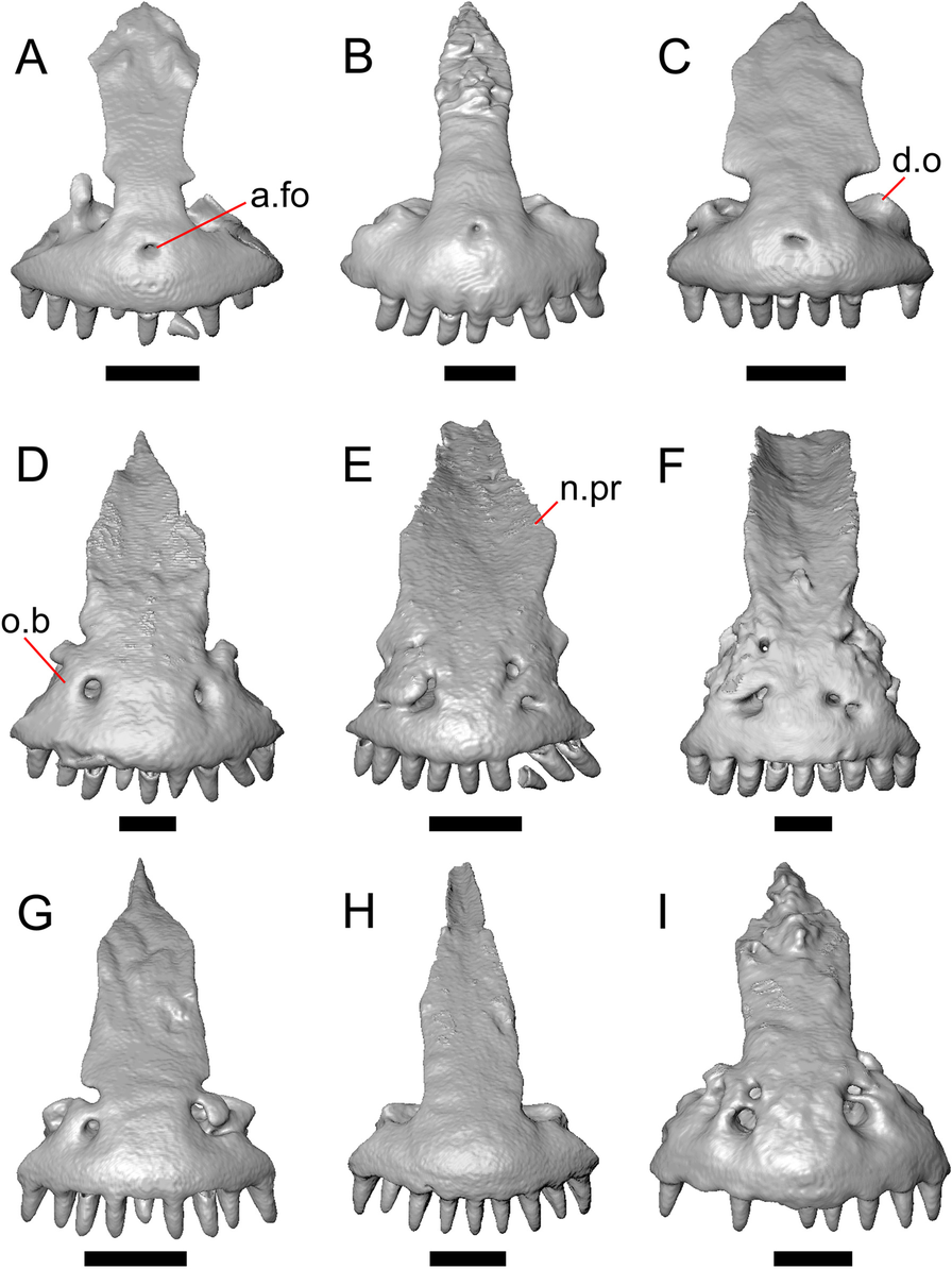 Fig. 16