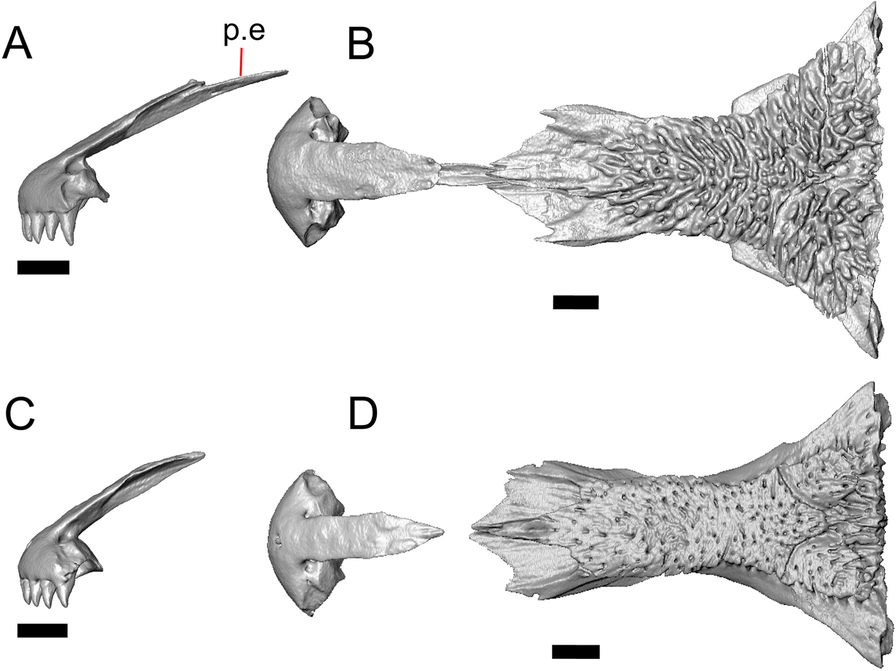 Fig. 18