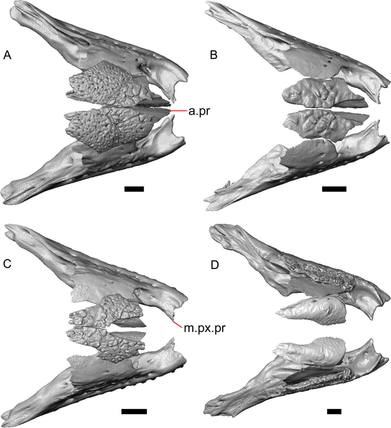 Fig. 20