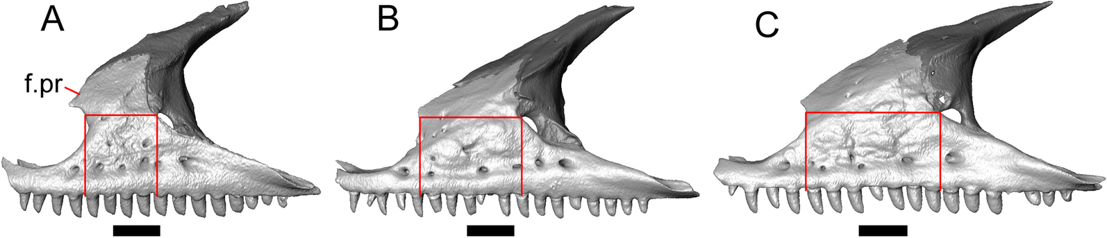 Fig. 23