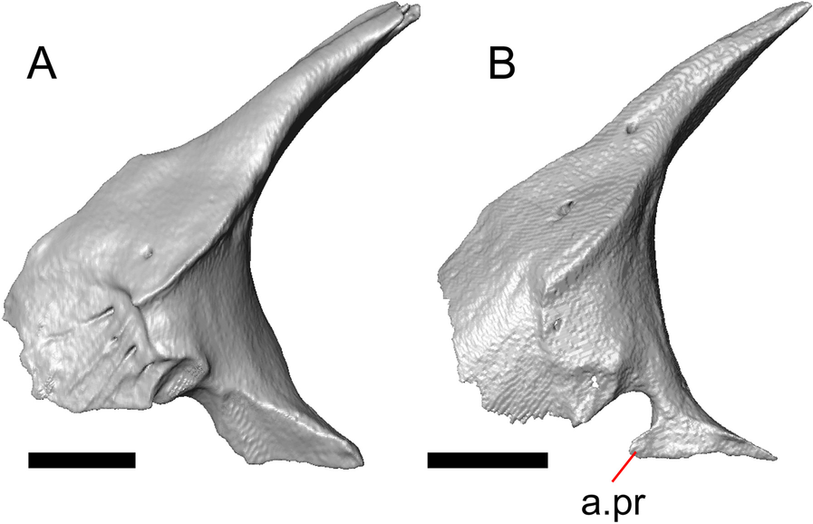 Fig. 26