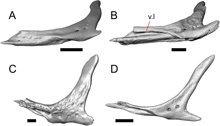 Fig. 27