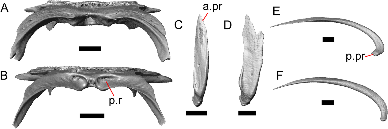 Fig. 30