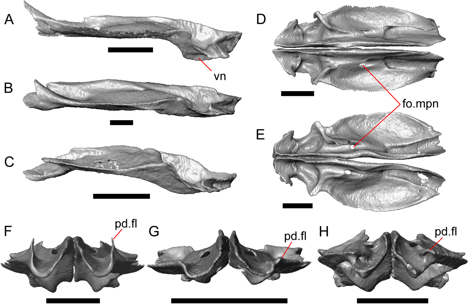 Fig. 31