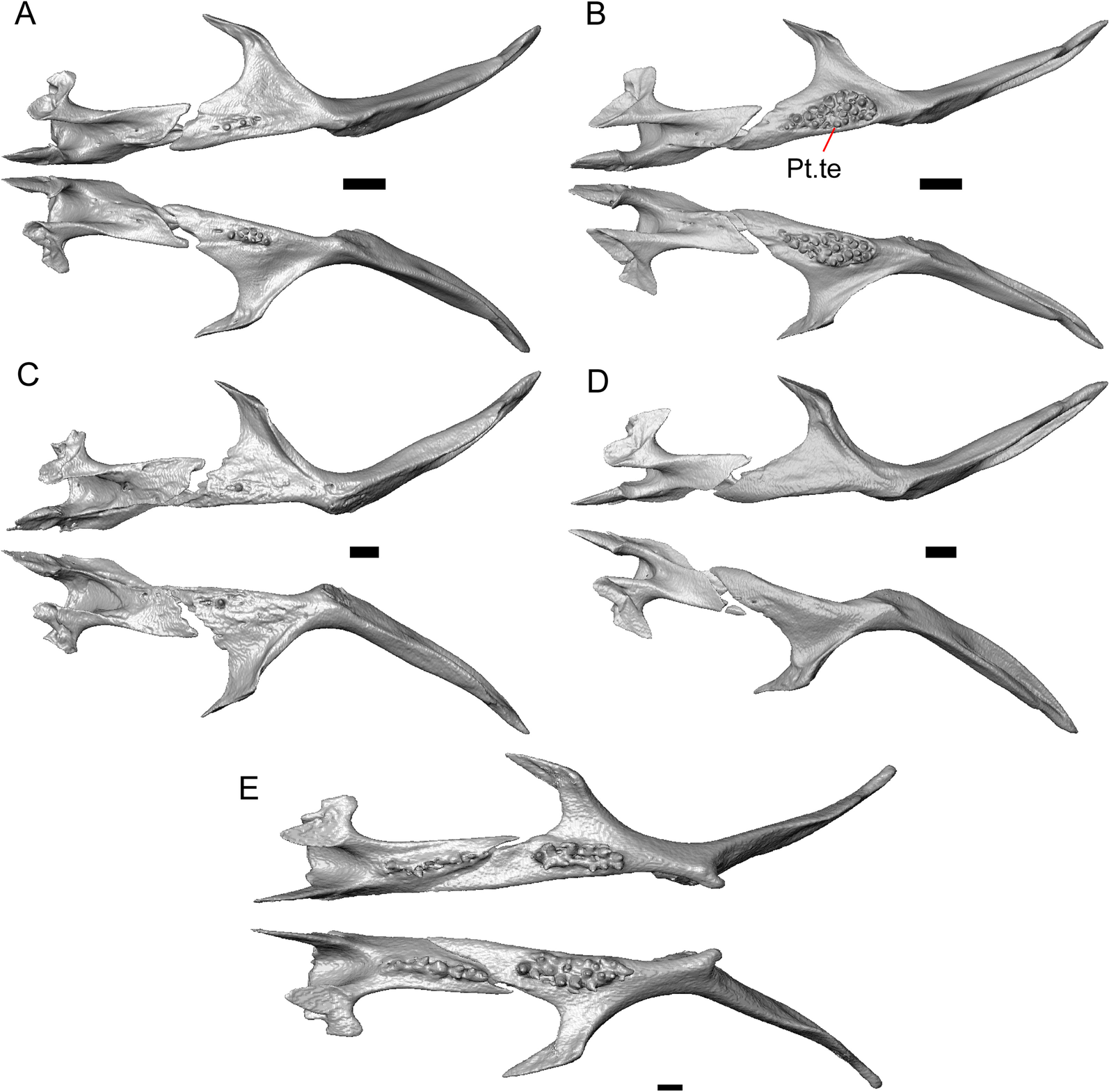 Fig. 33