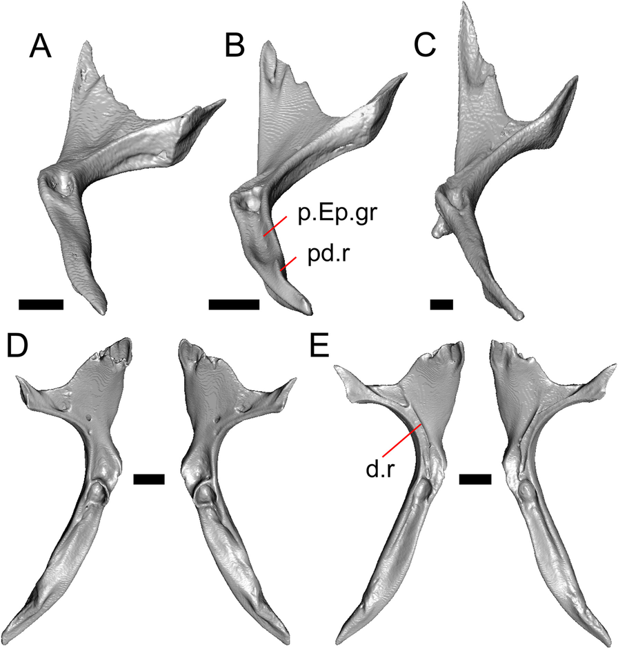 Fig. 35