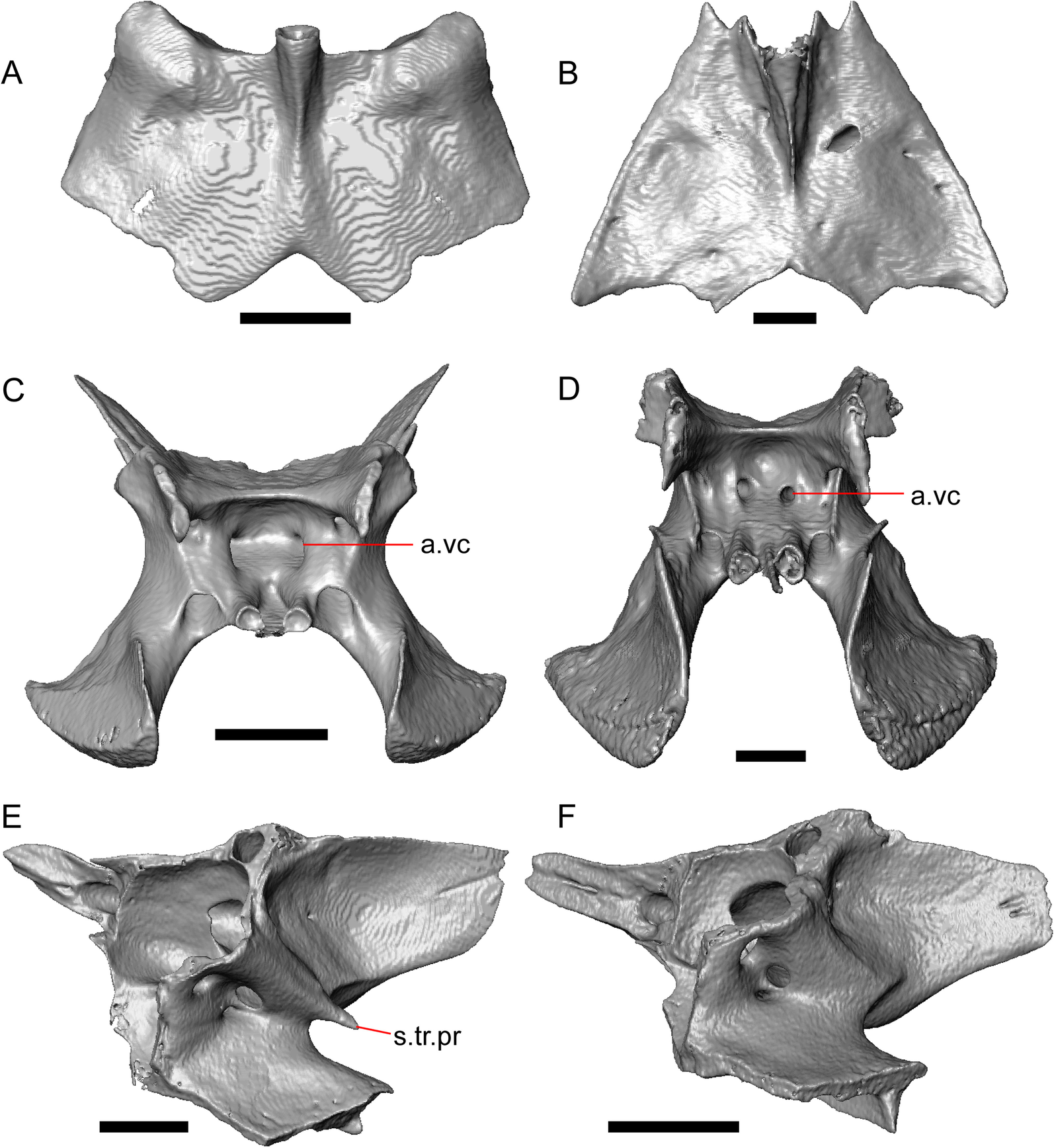 Fig. 37