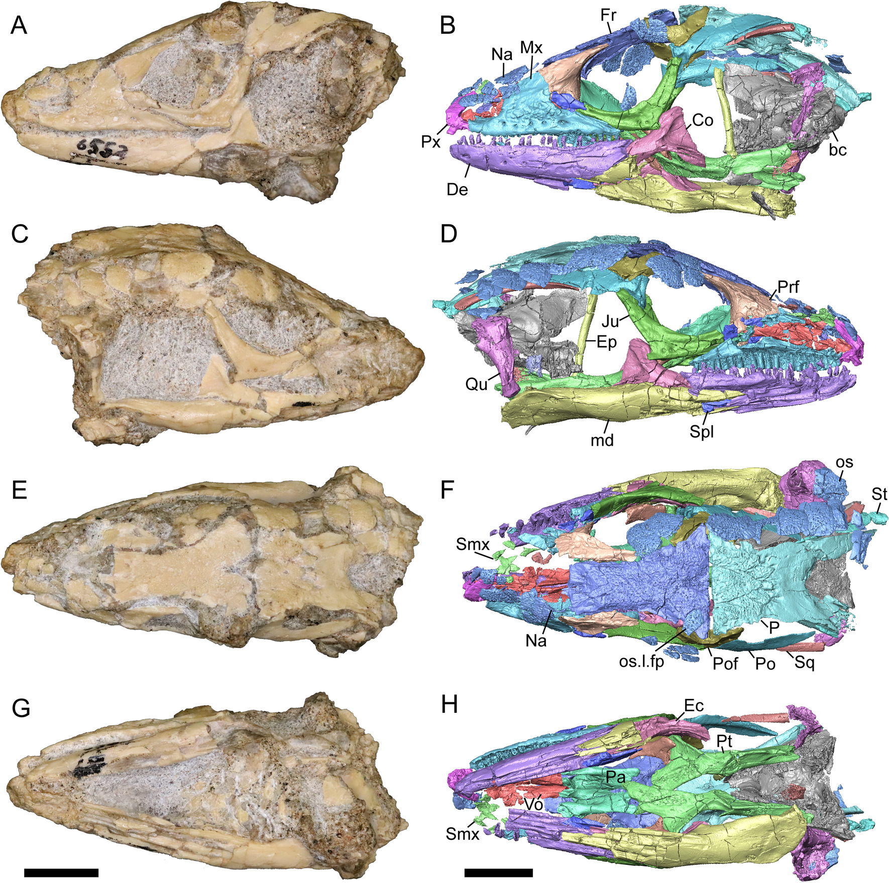 Fig. 3