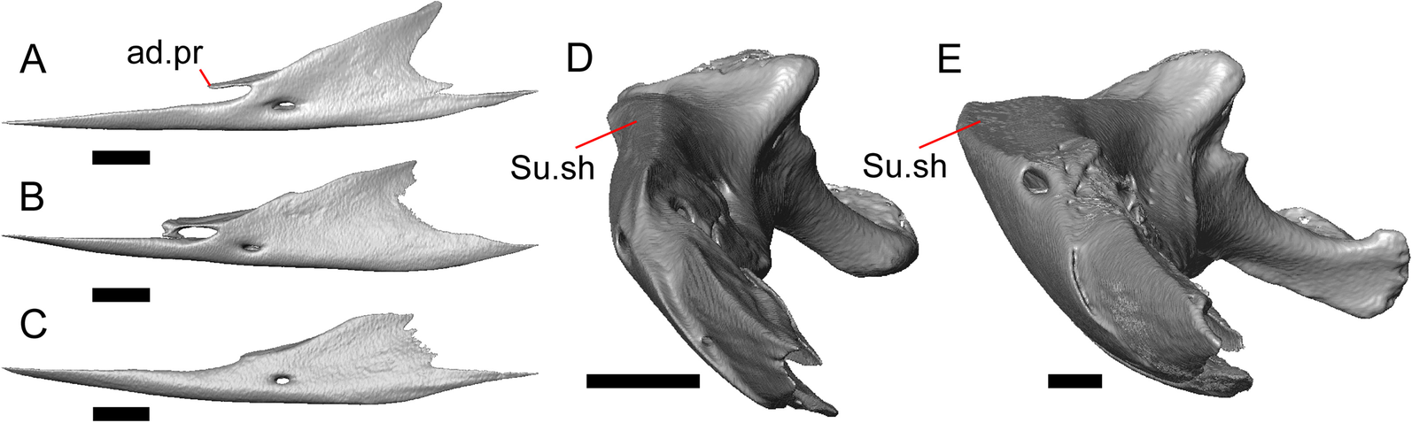 Fig. 41