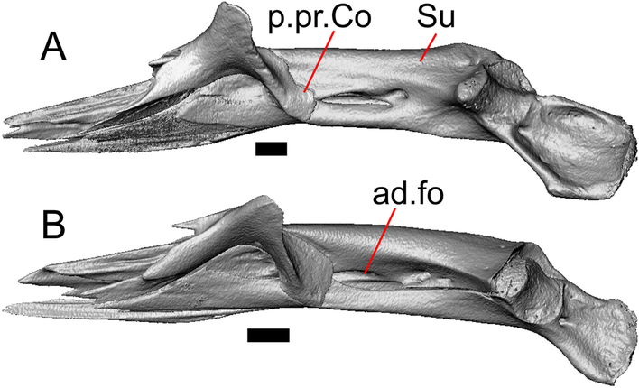 Fig. 44