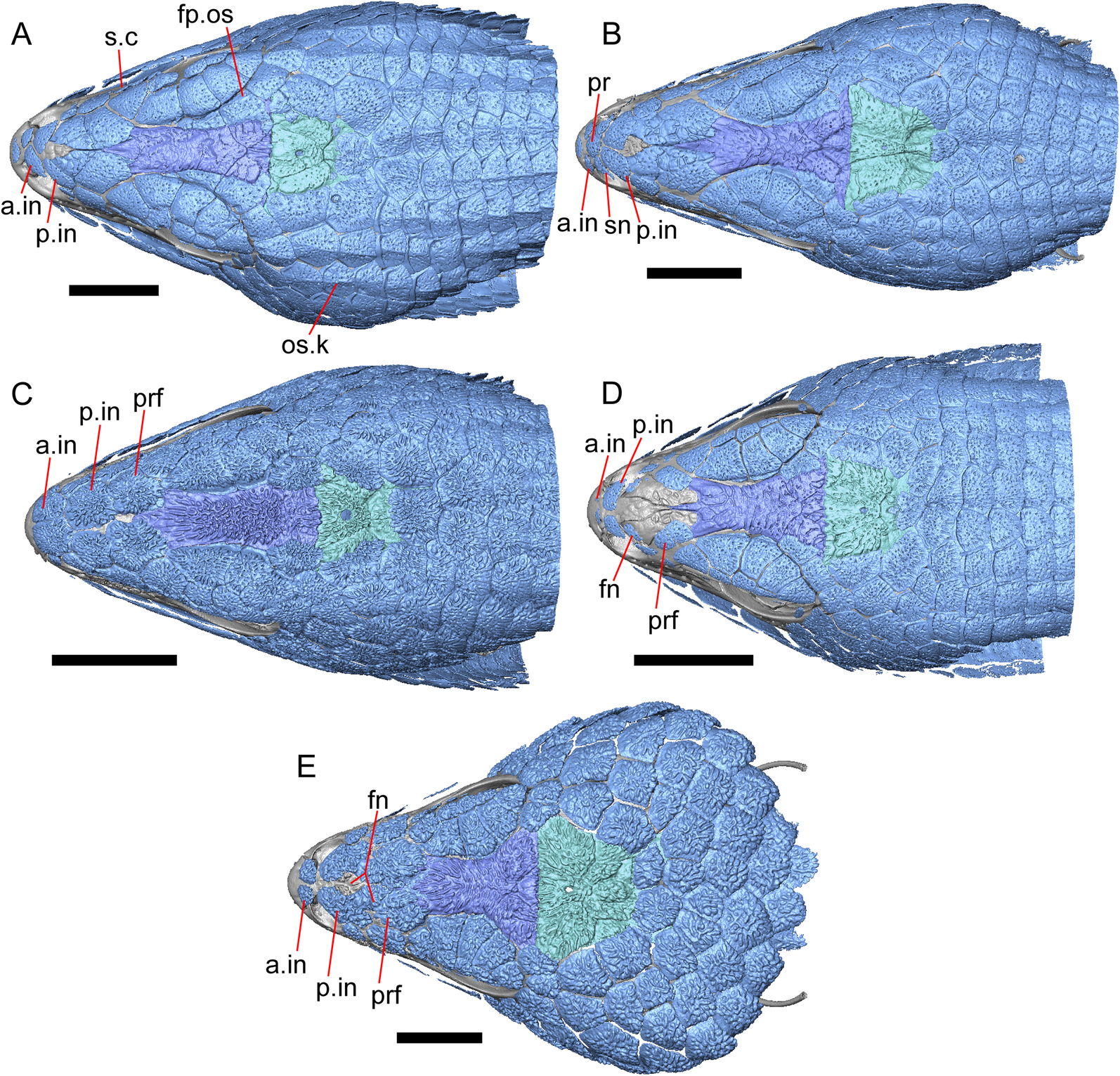 Fig. 45