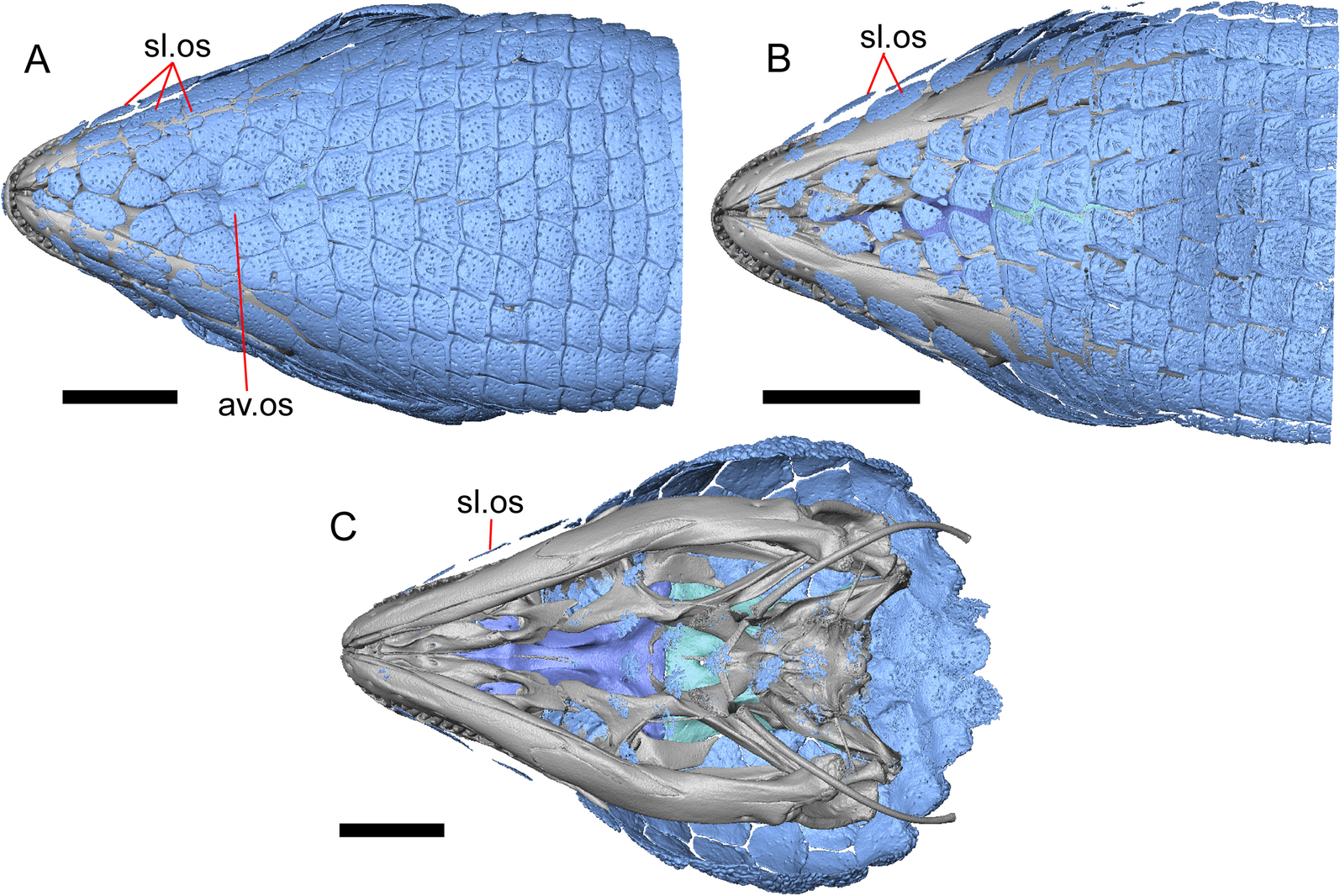 Fig. 46