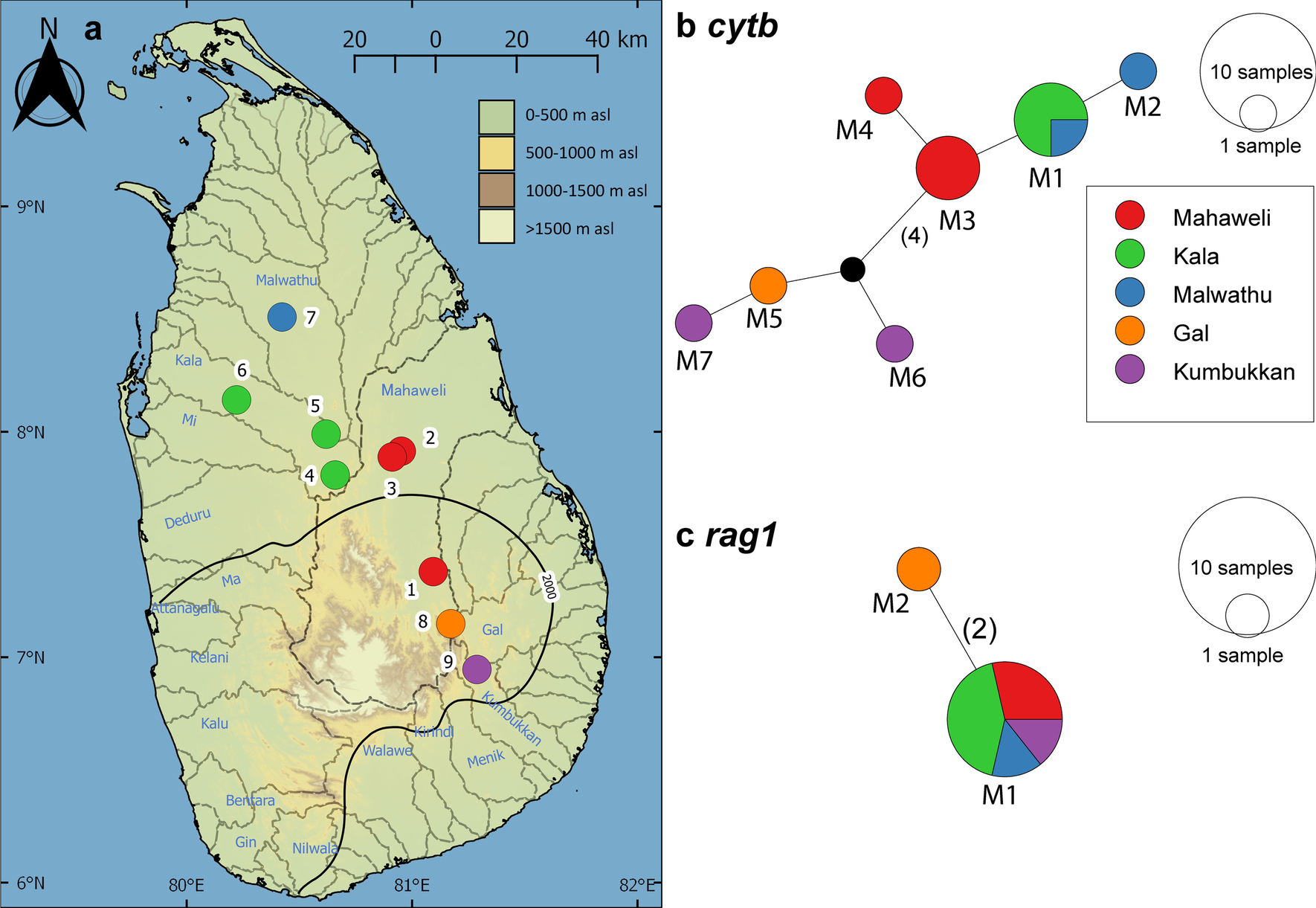 Fig. 7