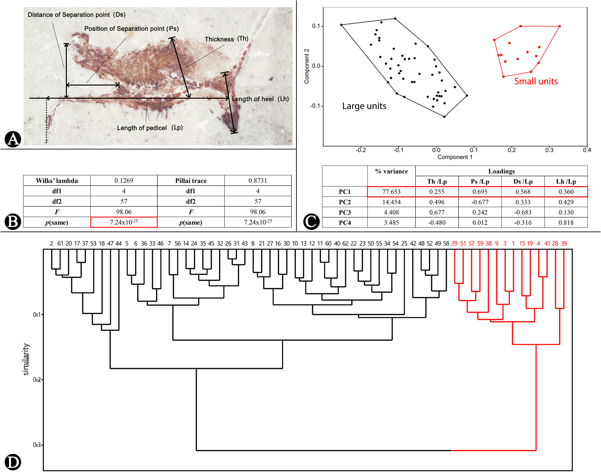 Fig. 6