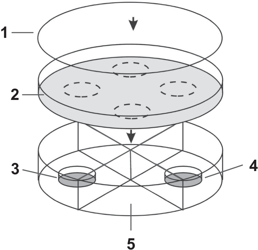 Fig. 9