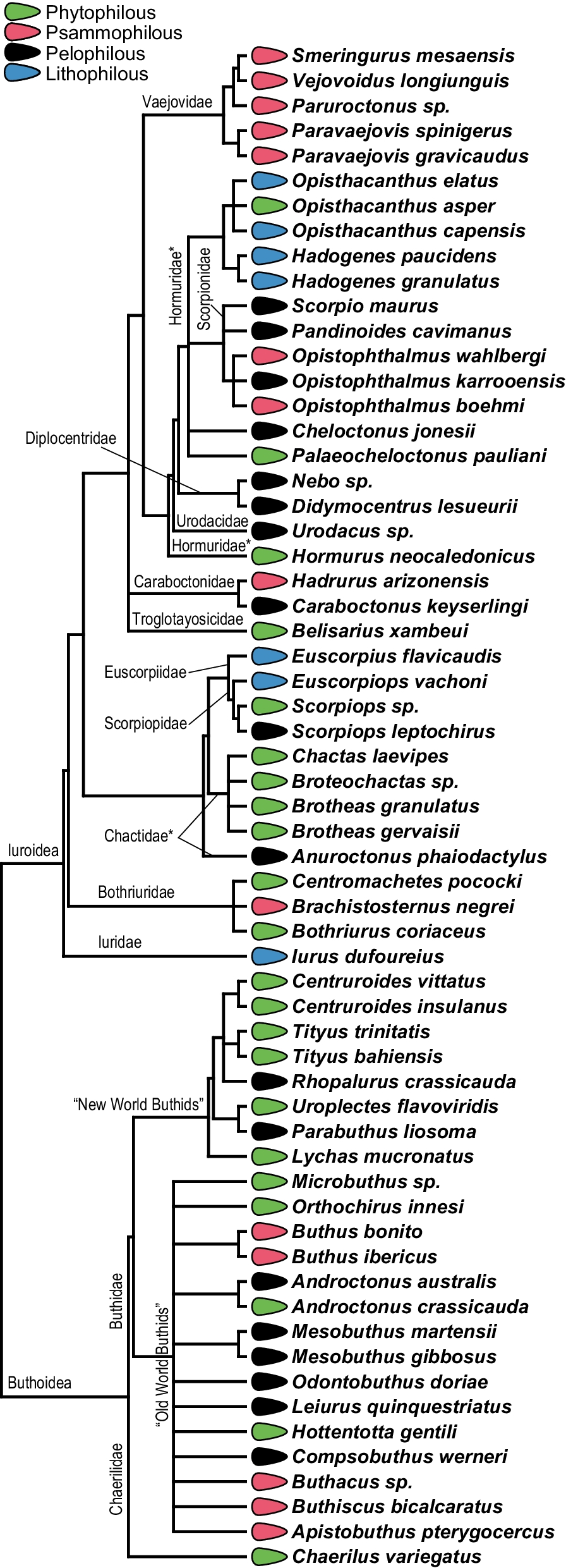 Fig. 2