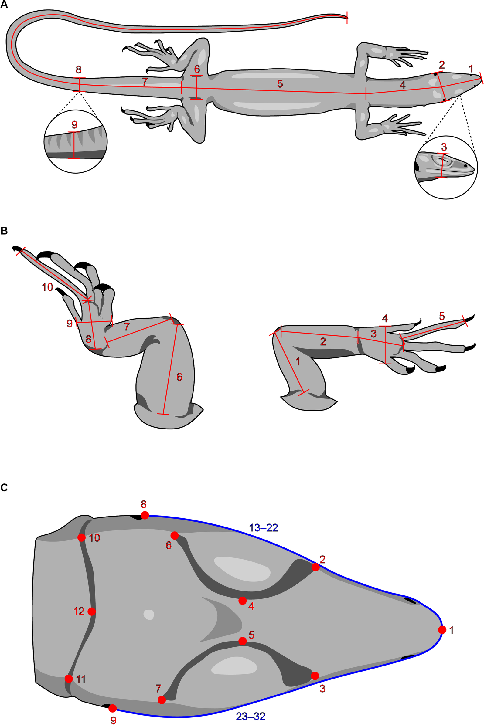 Fig. 2