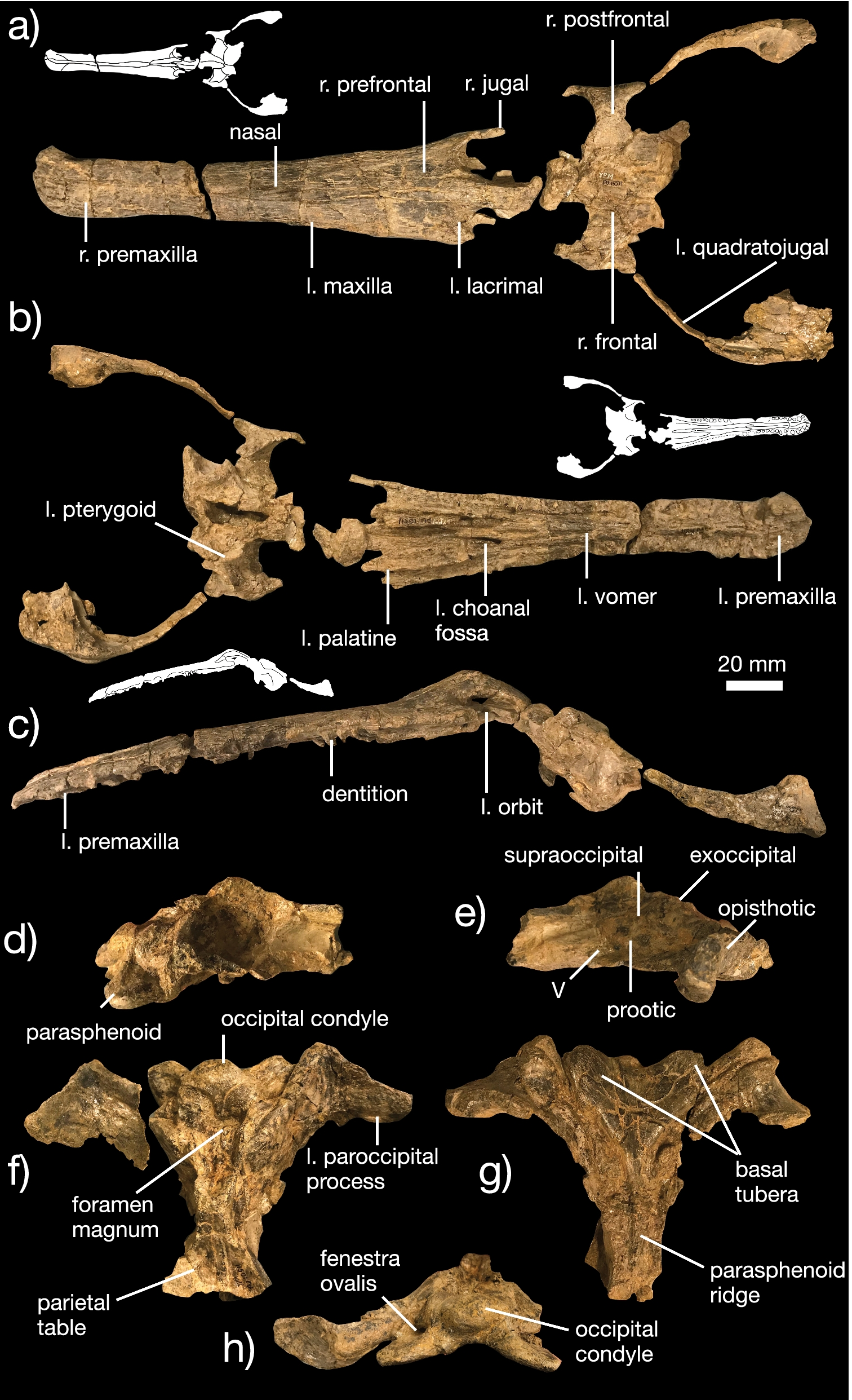 Fig. 8