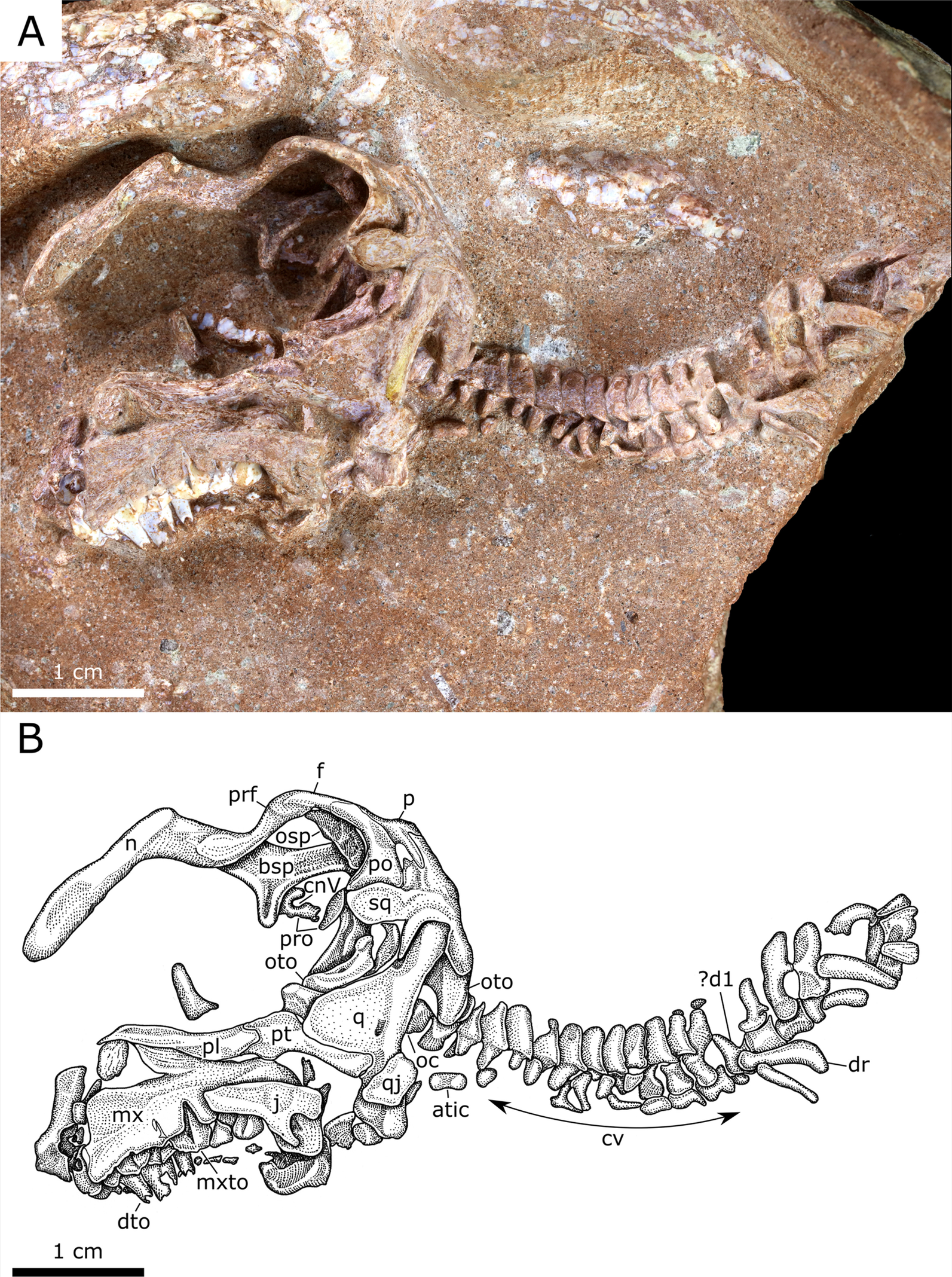 Fig. 3