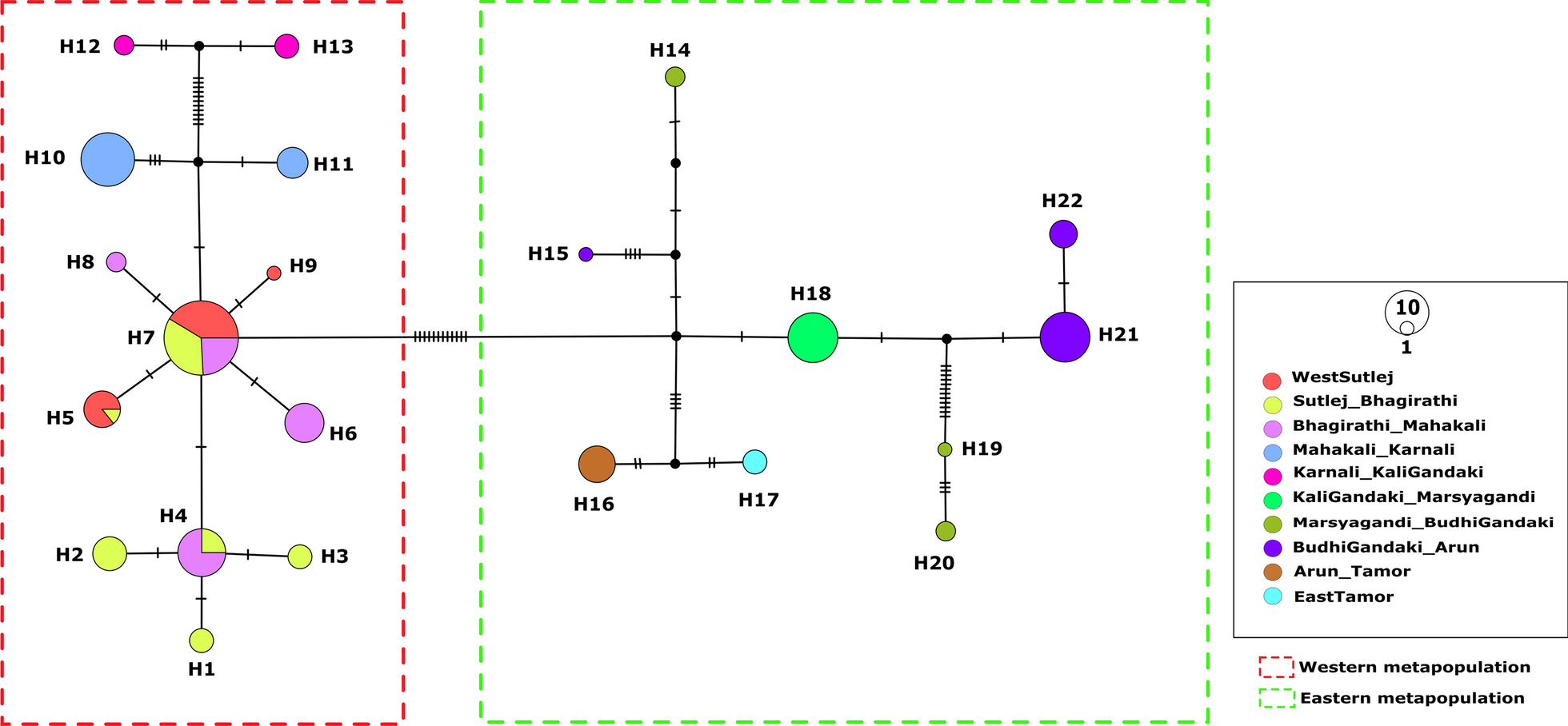 Fig. 2