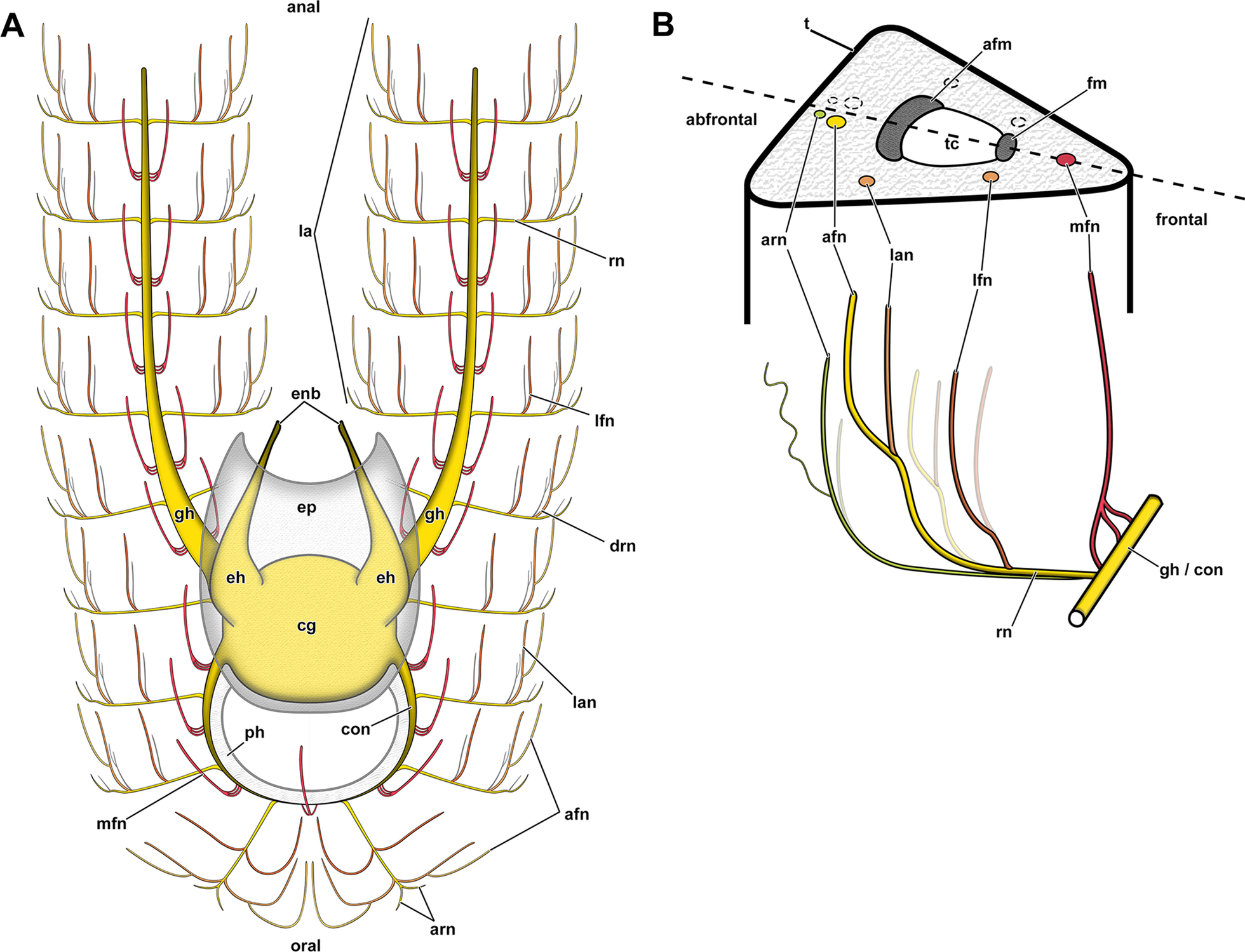 Fig. 14