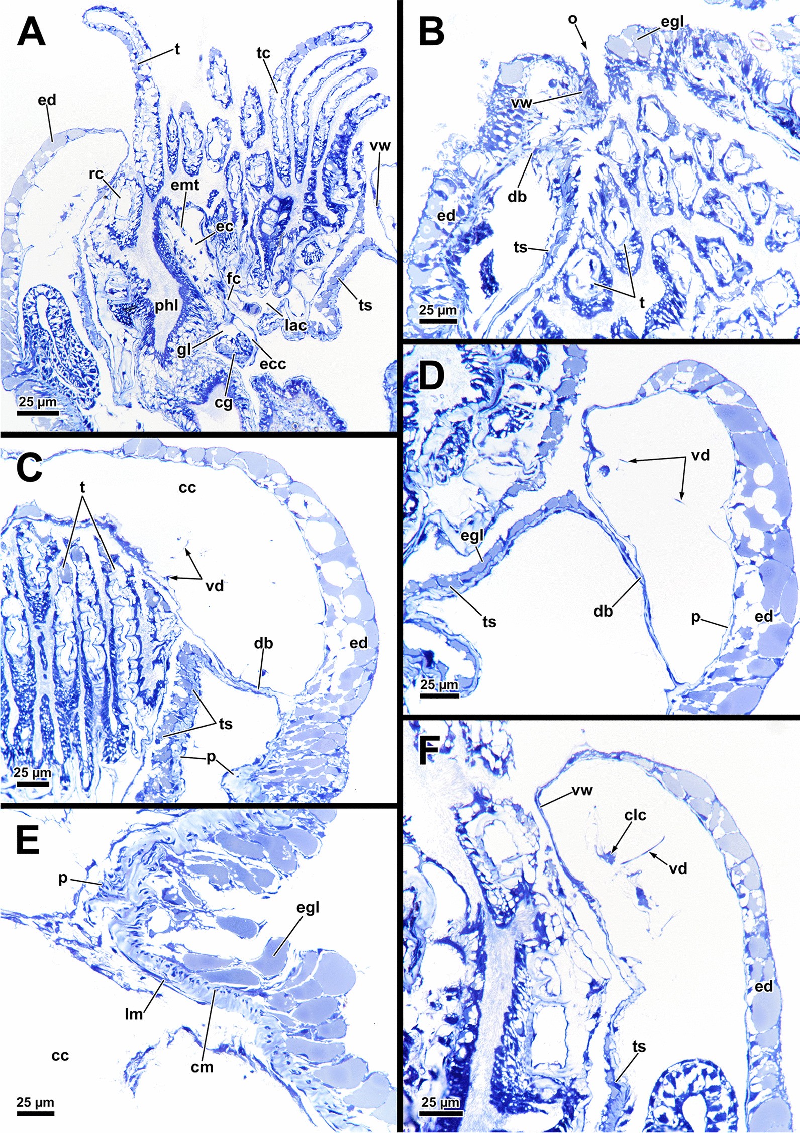 Fig. 17