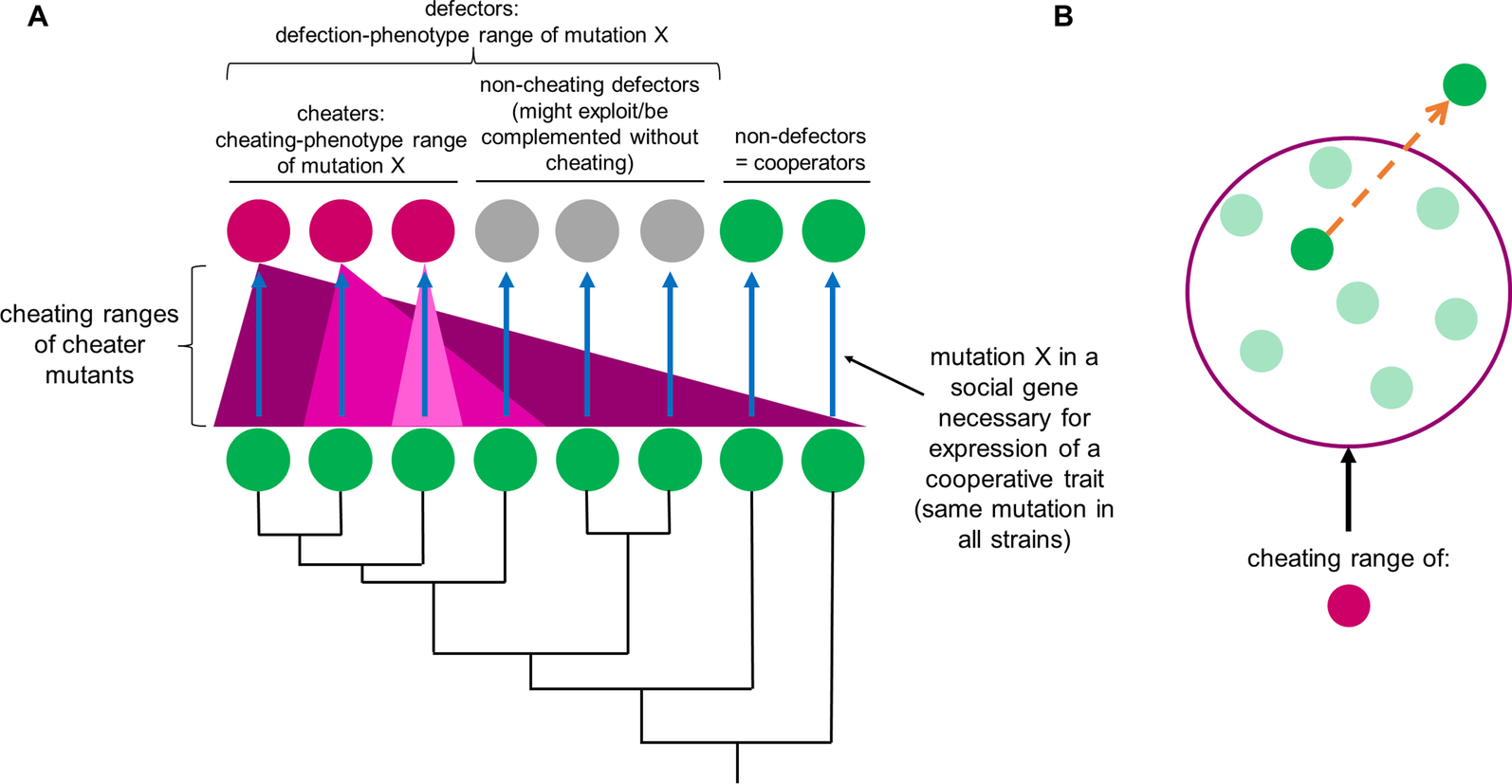 Fig. 1 