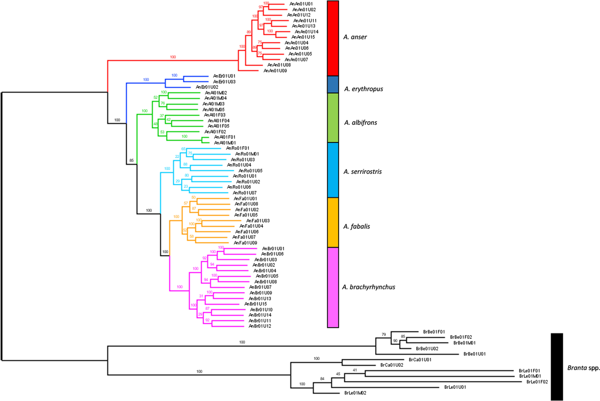 Fig. 2