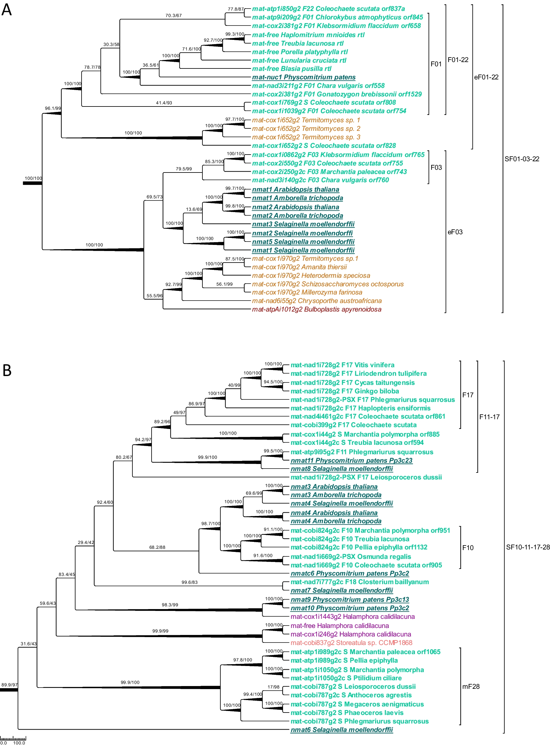 Fig. 6