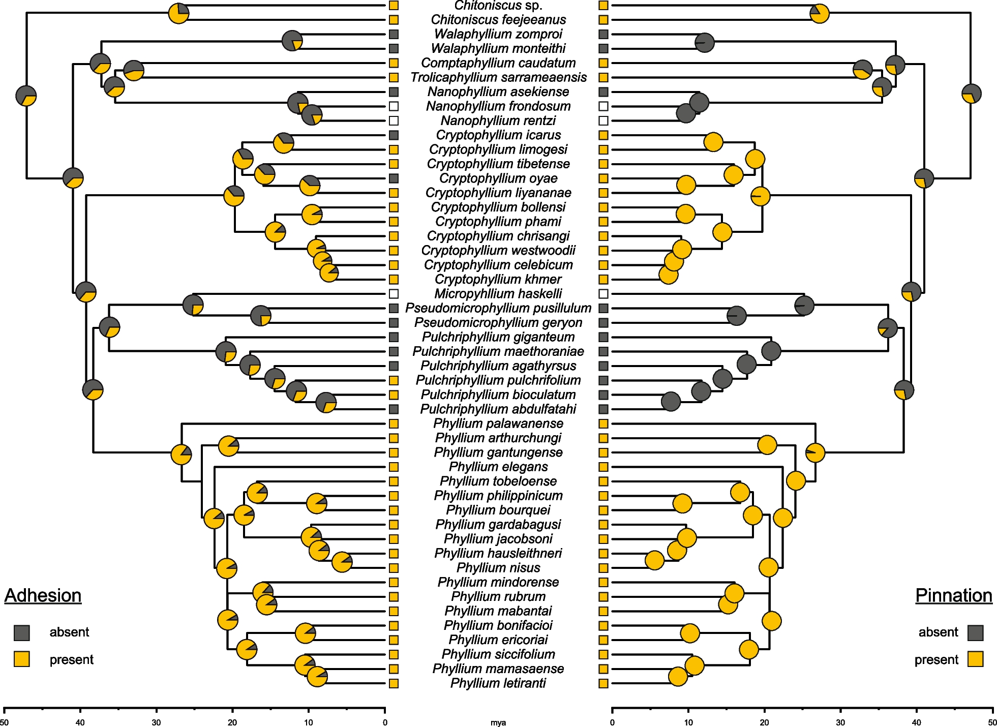 Fig. 11