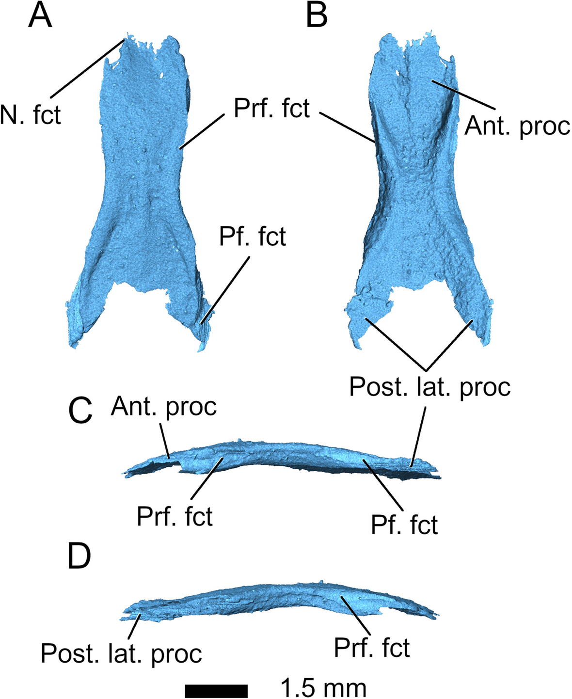 Fig. 6