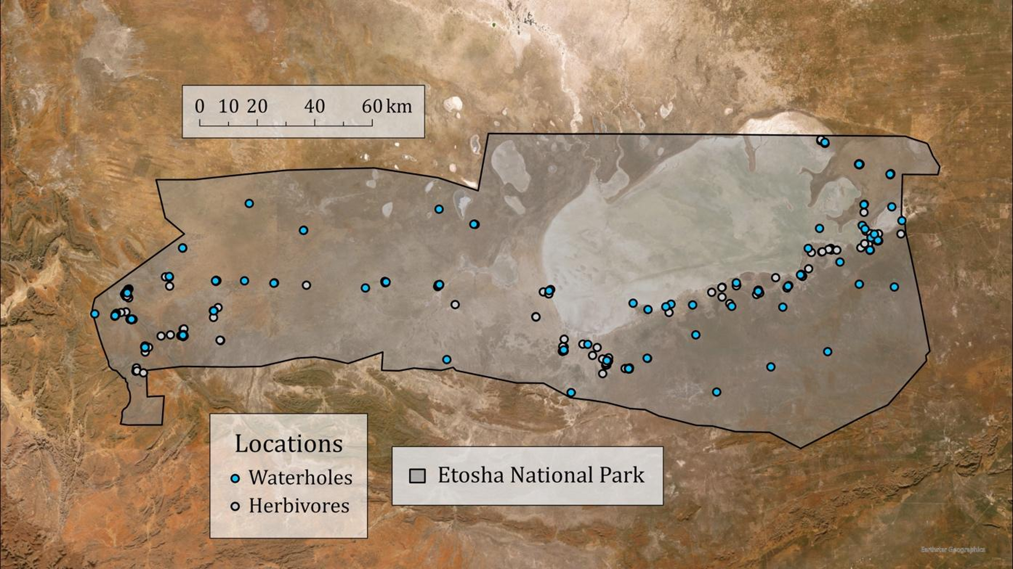 腸内マイクロバイオーム進化を左右する要因の解明(Study Sheds New Light on What Drives Evolution of Gut Microbiomes)