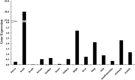 Fig. 3