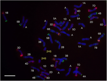 Fig. 3