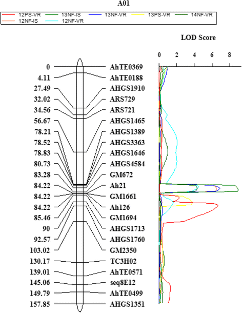 Fig. 5