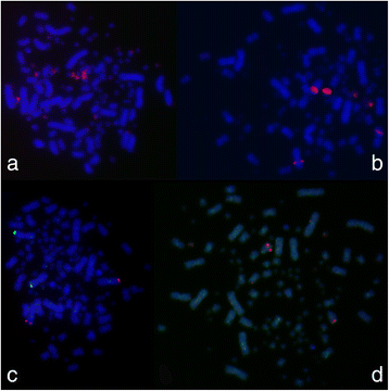 Fig. 2