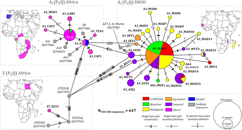 Fig. 3