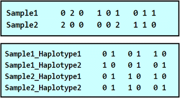 Fig. 2