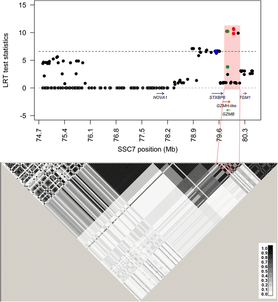 Fig. 2