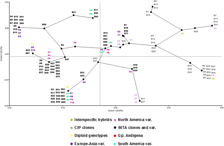 Fig. 2