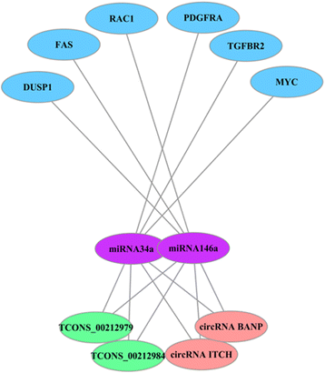 Fig. 9