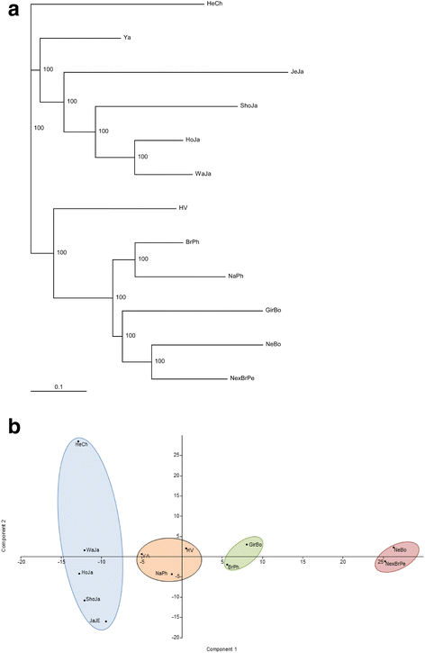 Fig. 4