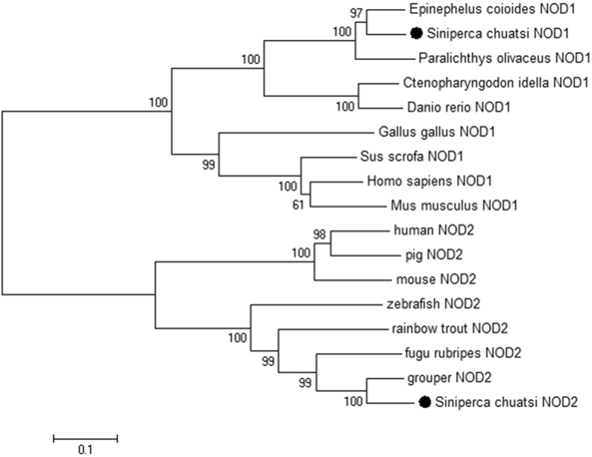 Fig. 2