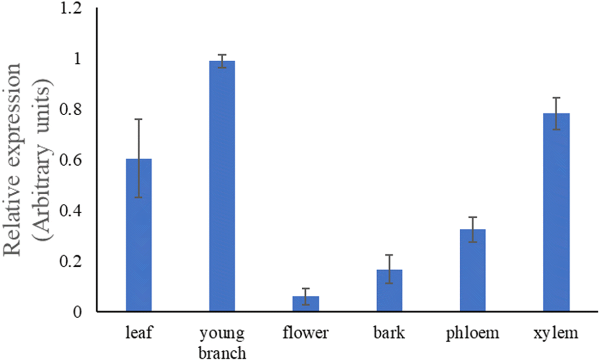 Fig. 4