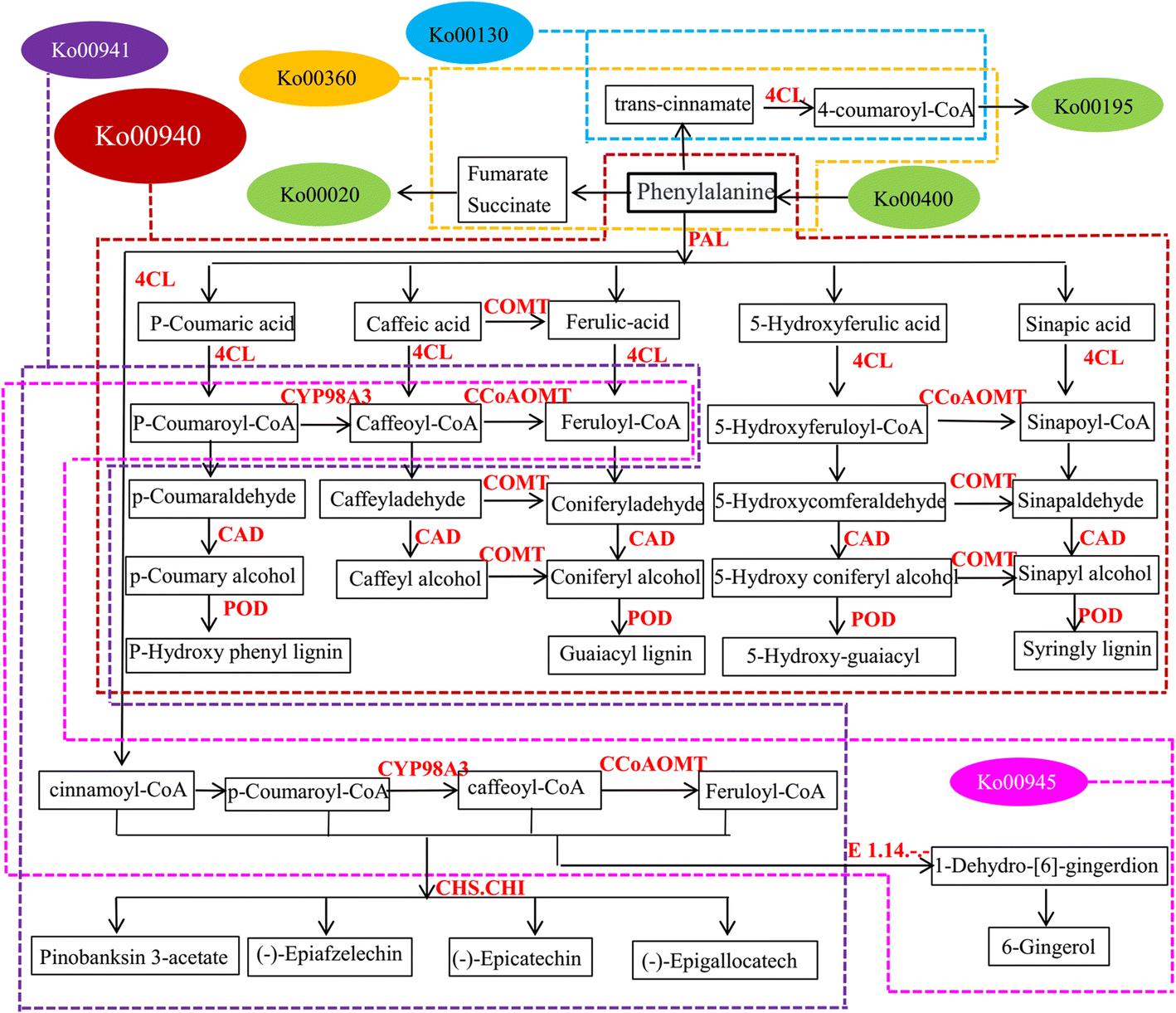 Fig. 11