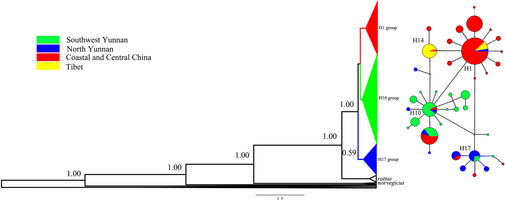 Fig. 3