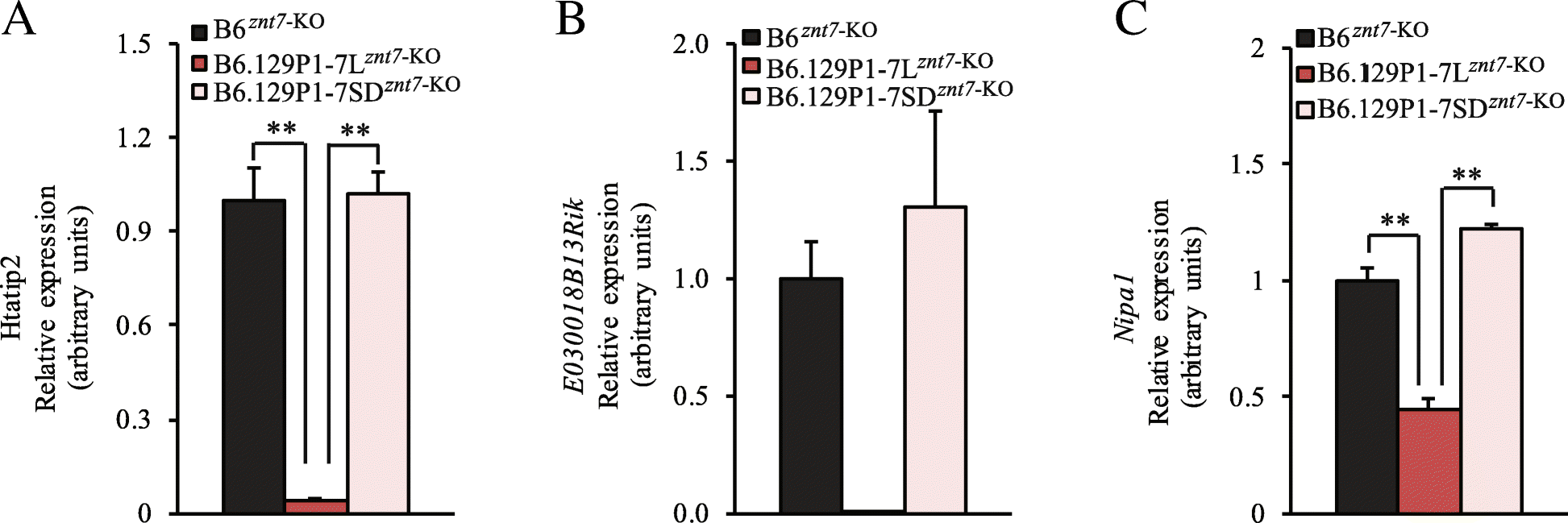 Fig. 5